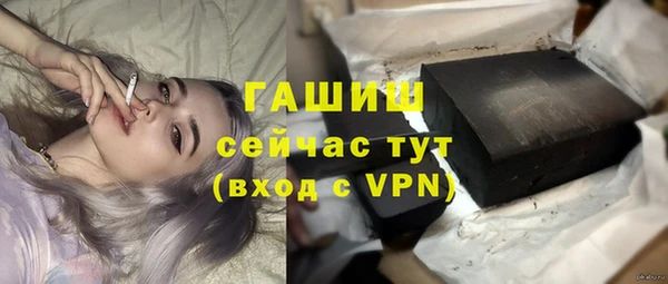 хмурый Аркадак