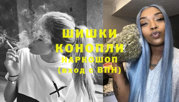 хмурый Аркадак
