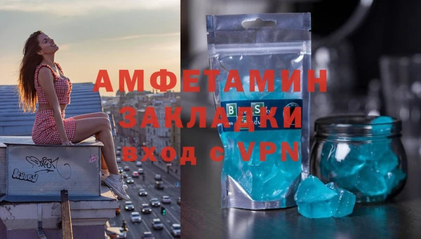 хмурый Аркадак