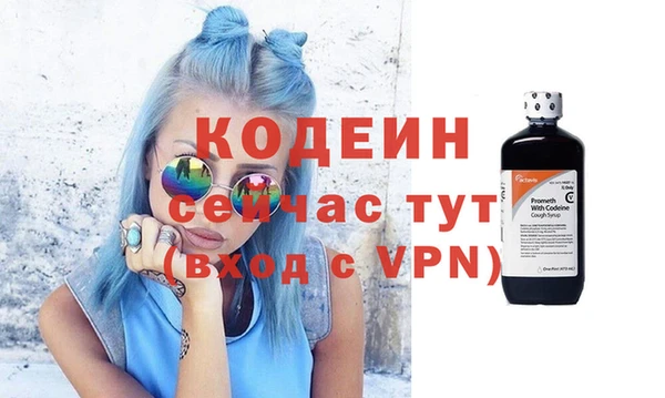 хмурый Аркадак