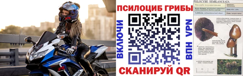 Псилоцибиновые грибы Magic Shrooms  Знаменск 